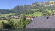 Archiv Foto Webcam Feilmoos 14:00
