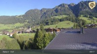 Archived image Webcam Feilmoos / Tyrol 08:00