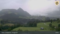 Archiv Foto Webcam Alpengasthof Pinzgerhof in Brunnerberg 20:00
