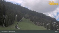 Archiv Foto Webcam Königsleiten: Märchenwald 12:00