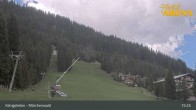 Archiv Foto Webcam Königsleiten: Märchenwald 14:00