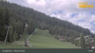 Archiv Foto Webcam Königsleiten: Märchenwald 16:00