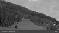 Archiv Foto Webcam Königsleiten: Märchenwald 20:00