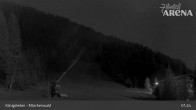 Archived image Webcam Königsleiten: Enchanted Forest 00:00