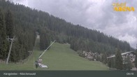 Archived image Webcam Königsleiten: Enchanted Forest 08:00