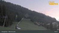 Archiv Foto Webcam Königsleiten: Märchenwald 04:00