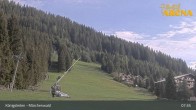 Archiv Foto Webcam Königsleiten: Märchenwald 07:00