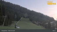 Archiv Foto Webcam Königsleiten: Märchenwald 04:00