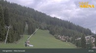 Archiv Foto Webcam Königsleiten: Märchenwald 06:00