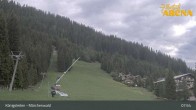 Archiv Foto Webcam Königsleiten: Märchenwald 07:00