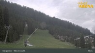 Archiv Foto Webcam Königsleiten: Märchenwald 12:00