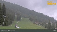 Archiv Foto Webcam Königsleiten: Märchenwald 14:00