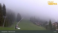 Archiv Foto Webcam Königsleiten: Märchenwald 20:00
