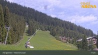 Archiv Foto Webcam Königsleiten: Märchenwald 10:00