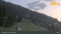 Archiv Foto Webcam Königsleiten: Märchenwald 04:00