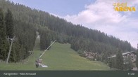 Archiv Foto Webcam Königsleiten: Märchenwald 10:00