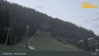Archiv Foto Webcam Königsleiten: Märchenwald 20:00