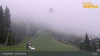 Archiv Foto Webcam Königsleiten: Märchenwald 04:00