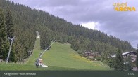 Archiv Foto Webcam Königsleiten: Märchenwald 12:00