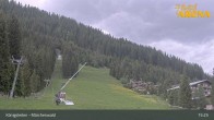 Archiv Foto Webcam Königsleiten: Märchenwald 14:00