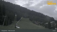 Archiv Foto Webcam Königsleiten: Märchenwald 20:00