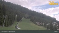 Archived image Webcam Königsleiten: Enchanted Forest 08:00