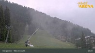 Archiv Foto Webcam Königsleiten: Märchenwald 04:00