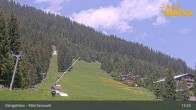Archiv Foto Webcam Königsleiten: Märchenwald 12:00
