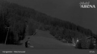 Archiv Foto Webcam Königsleiten: Märchenwald 00:00