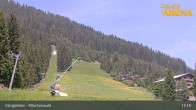 Archiv Foto Webcam Königsleiten: Märchenwald 12:00