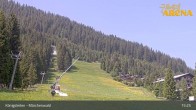 Archiv Foto Webcam Königsleiten: Märchenwald 14:00