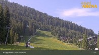 Archiv Foto Webcam Königsleiten: Märchenwald 16:00