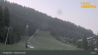 Archiv Foto Webcam Königsleiten: Märchenwald 20:00