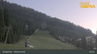 Archiv Foto Webcam Königsleiten: Märchenwald 04:00