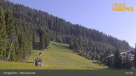 Archiv Foto Webcam Königsleiten: Märchenwald 06:00