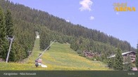 Archiv Foto Webcam Königsleiten: Märchenwald 12:00