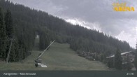 Archiv Foto Webcam Königsleiten: Märchenwald 20:00
