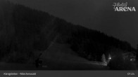 Archiv Foto Webcam Königsleiten: Märchenwald 00:00
