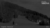 Archiv Foto Webcam Königsleiten: Märchenwald 02:00