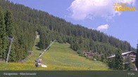 Archiv Foto Webcam Königsleiten: Märchenwald 10:00