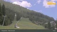 Archiv Foto Webcam Königsleiten: Märchenwald 12:00