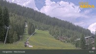 Archiv Foto Webcam Königsleiten: Märchenwald 14:00