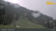Archiv Foto Webcam Königsleiten: Märchenwald 16:00