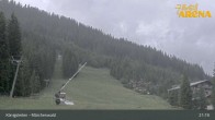 Archiv Foto Webcam Königsleiten: Märchenwald 20:00