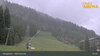 Archiv Foto Webcam Königsleiten: Märchenwald 07:00