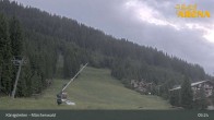 Archived image Webcam Königsleiten: Enchanted Forest 04:00