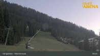 Archiv Foto Webcam Königsleiten: Märchenwald 04:00