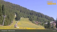 Archiv Foto Webcam Königsleiten: Märchenwald 10:00
