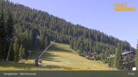 Archiv Foto Webcam Königsleiten: Märchenwald 16:00