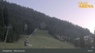 Archiv Foto Webcam Königsleiten: Märchenwald 04:00